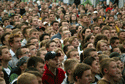 Socail  instinctual subtype Crowd of people